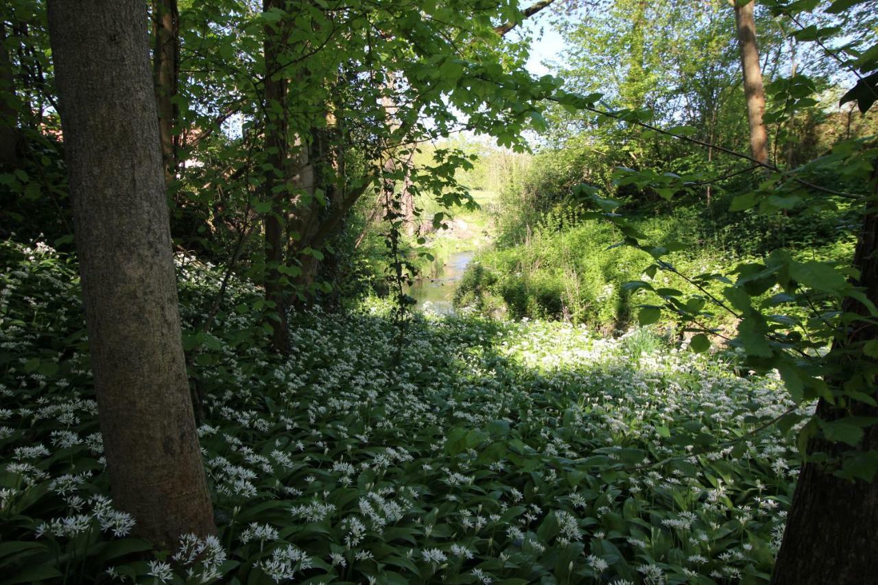 Pitchounette Chaumont-Gistoux Kültér fotó